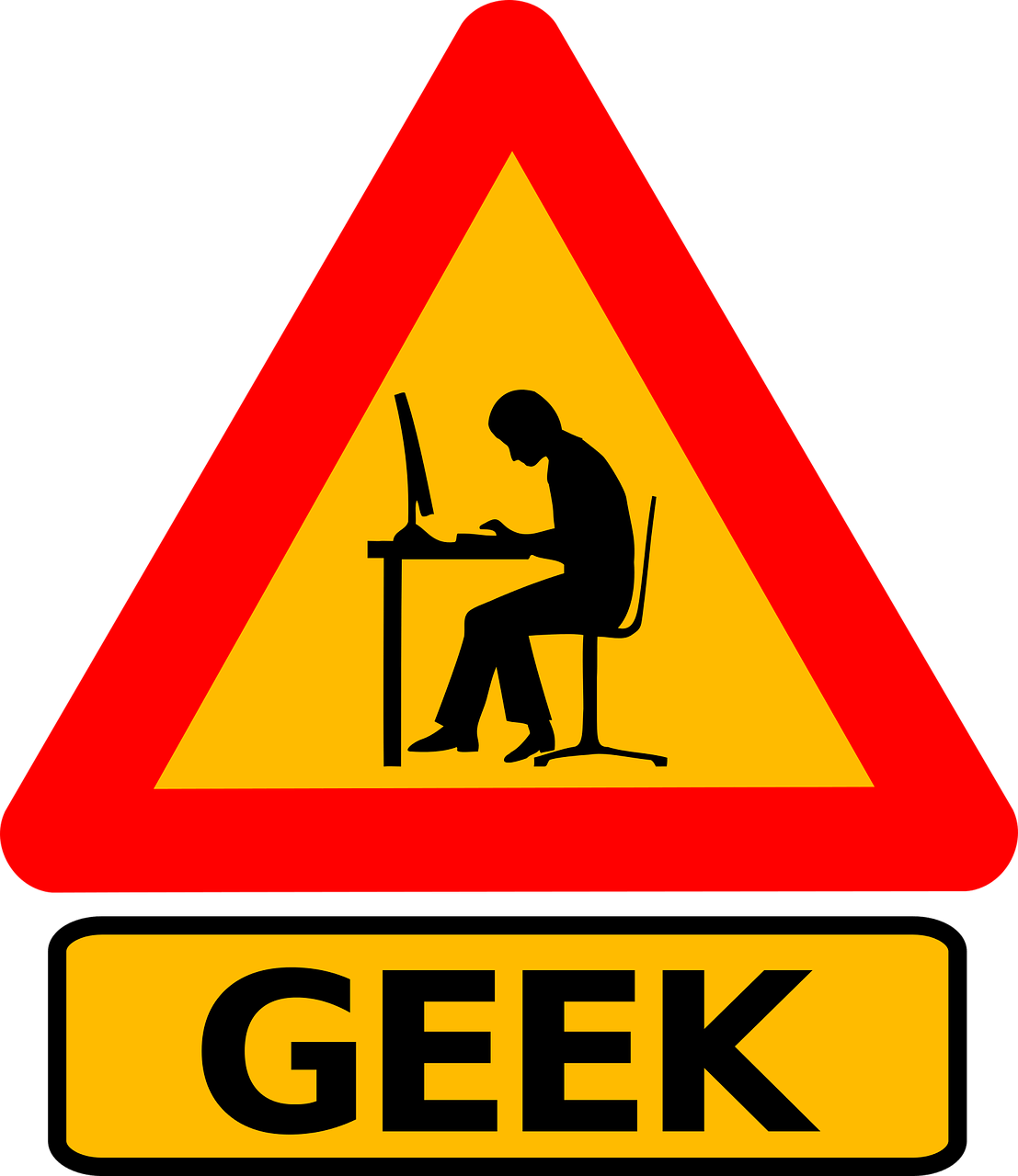 Qu'estce qu'un geek ? Kévin Monfils Ecrivain et Journaliste